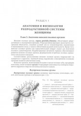 Акушерство - Фото 3