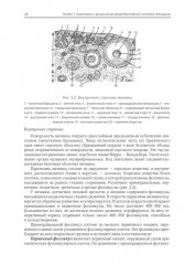 Акушерство - Фото 5