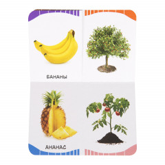 Фрукты, овощи, ягоды - Фото 1