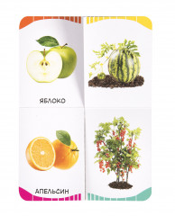 Фрукты, овощи, ягоды - Фото 2