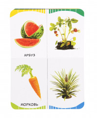 Фрукты, овощи, ягоды - Фото 3