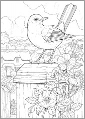 Creative Haven Glorious Songbirds Coloring Book - Фото 7