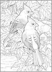 Creative Haven Glorious Songbirds Coloring Book - Фото 11