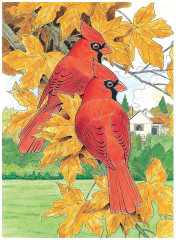 Creative Haven Glorious Songbirds Coloring Book - Фото 13