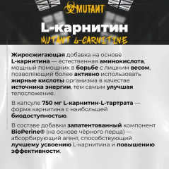 Добавка пищевая «Carnitine» - Фото 2