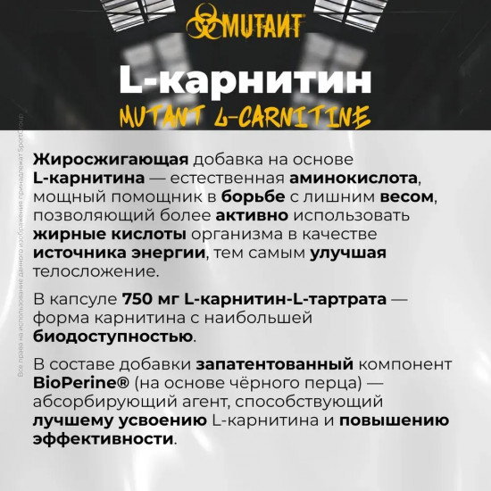 Добавка пищевая «Carnitine»