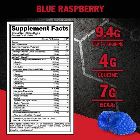Комплекс аминокислот со вкусом ежевики «GEAAR. Blue raspberry»