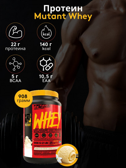 Протеин со вкусом ванильного мороженого «Whey Protein. Vanilla Ice Cream»