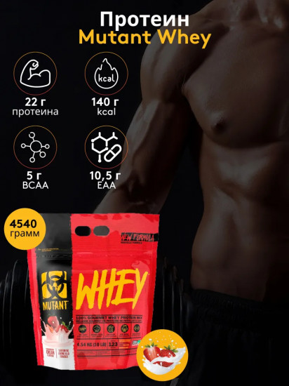 Протеин со вкусом клубничного крема «Whey Protein. Strawberry Cream»