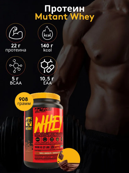 Протеин со вкусом шоколадного брауни «Whey Protein. Chocolate Fudge Brownie»