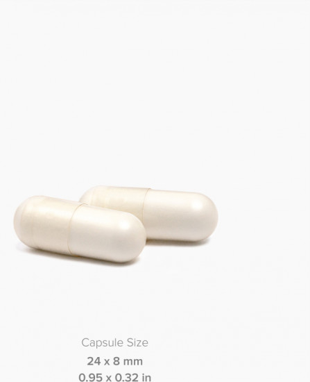 Комплекс для поддержки печени «Liver Support»