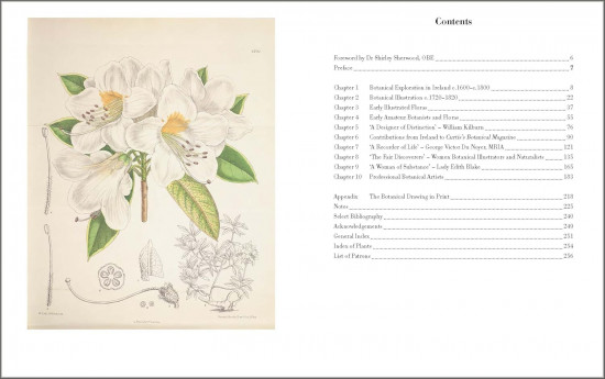 Drawn From Nature: The Flowering of Irish Botanical Art