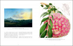 Drawn From Nature: The Flowering of Irish Botanical Art - Фото 2