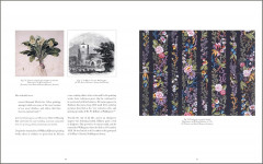 Drawn From Nature: The Flowering of Irish Botanical Art - Фото 4