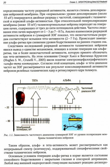 Функциональная и ультразвуковая диагностика в неврологии и нейрохирургии