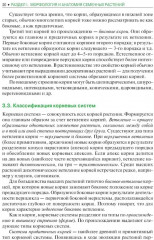 Ботаника - Фото 14