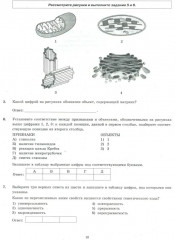 ЕГЭ 2025. Биология. 30 вариантов. Типовые варианты экзаменационных заданий - Фото 8