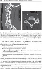 Повреждения и заболевания позвоночника - Фото 7