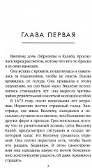 Зимняя буря. Том 10 - Фото 1