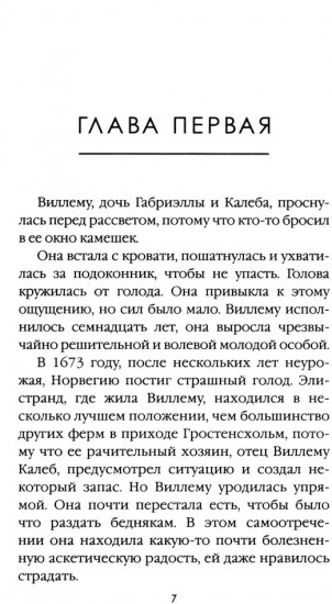Зимняя буря. Том 10