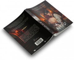 Жар крови. Том 12 - Фото 4