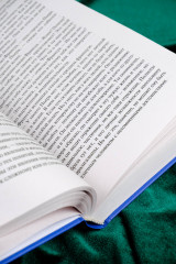 Пробуждение. Эвелина и ее друзья - Фото 6