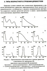 Организация и технология специализированных уходов за лесами - Фото 3