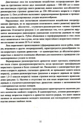 Организация и технология специализированных уходов за лесами - Фото 4