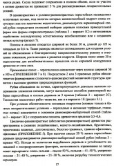 Организация и технология специализированных уходов за лесами - Фото 9