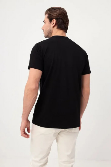 Футболка мужская Алекс