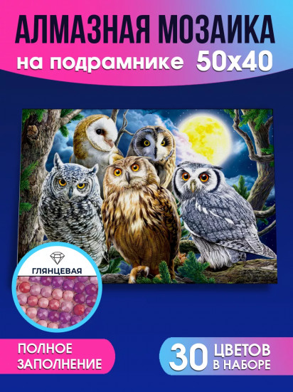 Мозаика алмазная «Ночные совы»