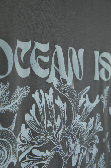 Семена. Огурец «Кураж F1», 20 шт