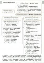 Визуальная анатомия человека. Остеология - Фото 2