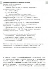 Визуальная анатомия человека. Остеология - Фото 4