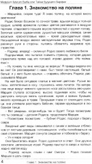 Misterium futurum Barfia, или Тайна будущего Барфии - Фото 2