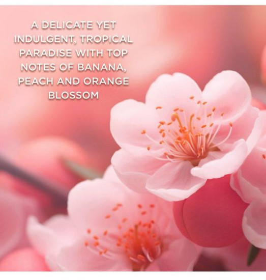 Набор подарочный «Boudoire Luxury Pamper Tin Gift Set»