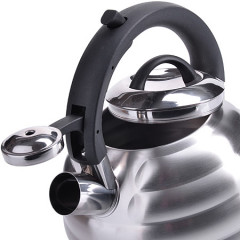 Чайник со свистком - Фото 1