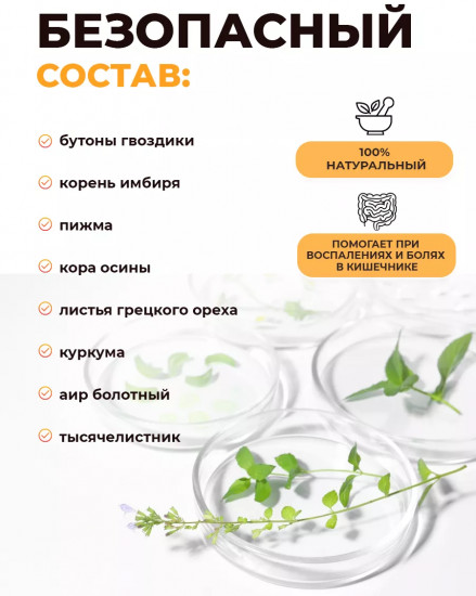 Комплекс антипаразитарный «Зеленый Лекарь»