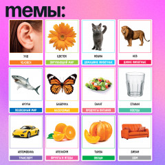 Развивающий набор по методике Глена Домана «200 слов. Учимся и развиваемся» - Фото 1