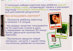 Развивающий набор по методике Глена Домана «200 слов. Учимся и развиваемся» - Фото 4