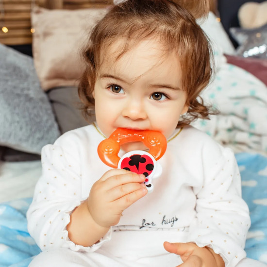 Прорезыватель с охлаждающим эффектом «Dotty bug»