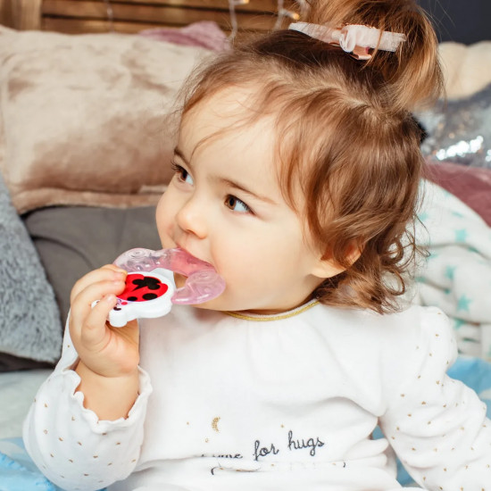Прорезыватель с охлаждающим эффектом «Dotty bug»