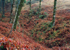 Class of 2024: Future Visions of Photography - Фото 9