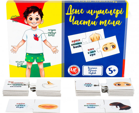 Игра настольная «Части тела — Дене мүшелері»