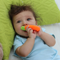 Погремушка-прорезыватель «Морковка» - Фото 11