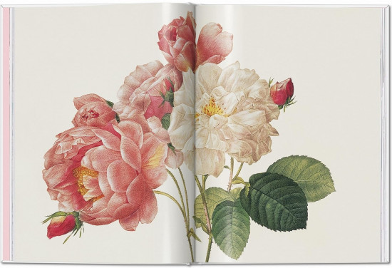 Roses. The Complete Plates 1817-1824