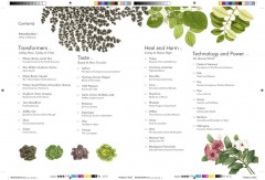 Remarkable Plants - Фото 1