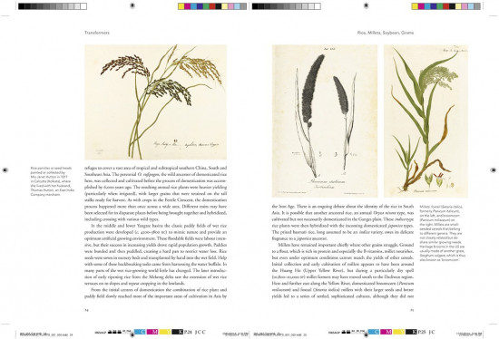 Remarkable Plants