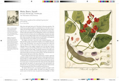 Remarkable Plants - Фото 4