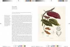 Remarkable Plants - Фото 6